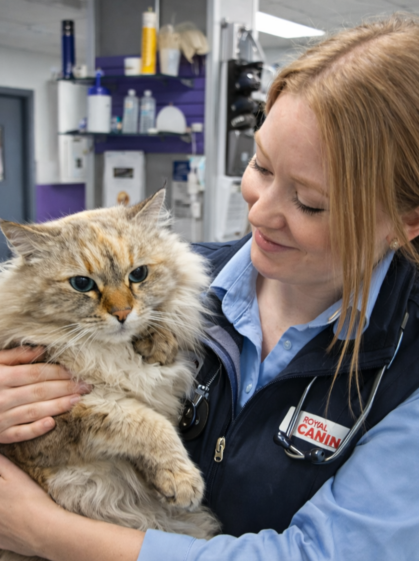 Blog April EDM - It’s Not Your Fault Why a Pet Health Check Unlocks the Truth