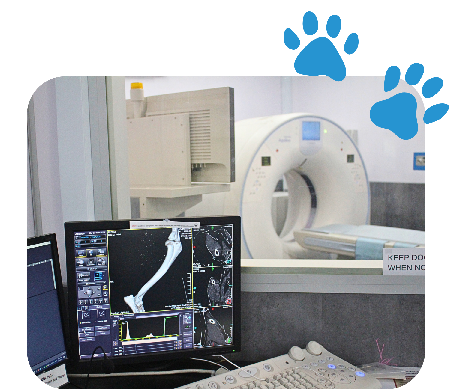 Advanced pet CT scan machine at VetLand Hospital & Emergency in Melbourne, providing high-quality 3D diagnostic imaging for complex veterinary conditions and emergencies.