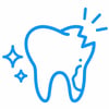 Vet dental Care Vetland - A broken or discoloured tooth