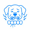 Vet dental Care Vetland - Painful teeth in the wrong position