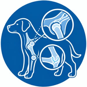 Vetland Hospital & Emergency - CT Scanner  Services Page - Complex Joints