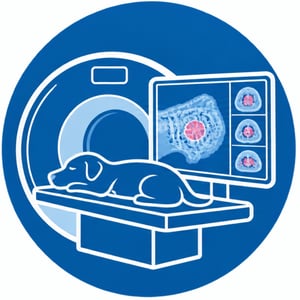 Modern veterinary CT scanner at VetLand Hospital & Emergency in Melbourne, supporting accurate pet diagnostics, cancer staging, and advanced orthopaedic imaging for pets.
