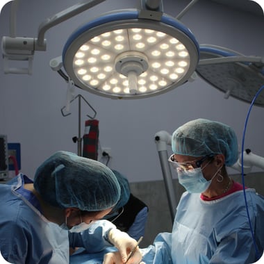 Vetland Integrated Hospital Support