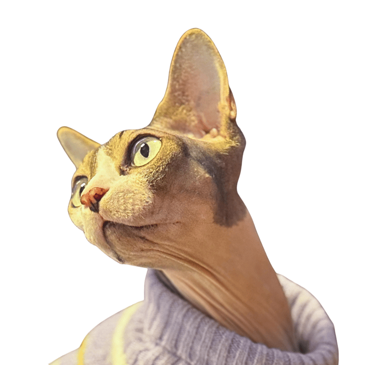 Precise veterinary laser surgery for delicate soft tissue procedures