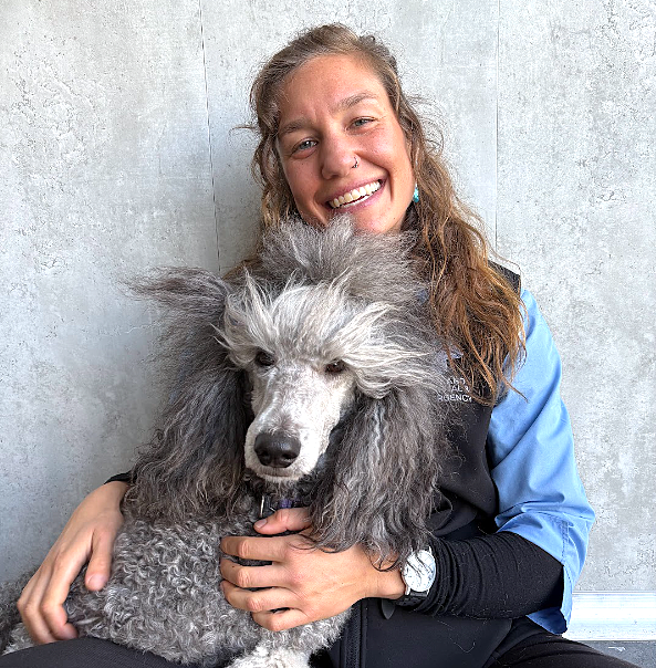 Affordable chronic medications for dogs and cats with veterinary supervision — Vetland’s Furever Medications service ensures better compliance and care.