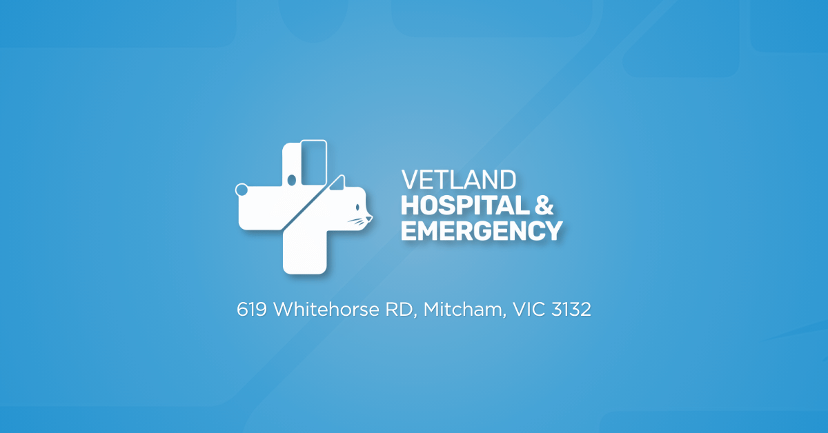 VetLand Hospital & Emergency storefront