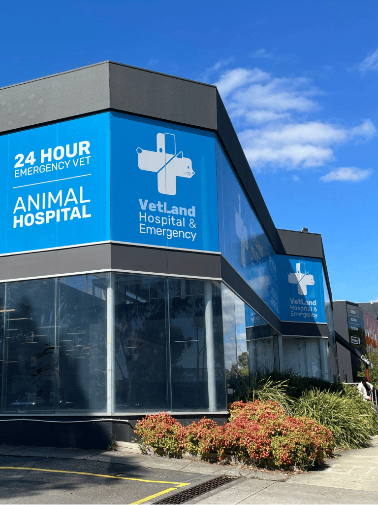 emergency vet hospital