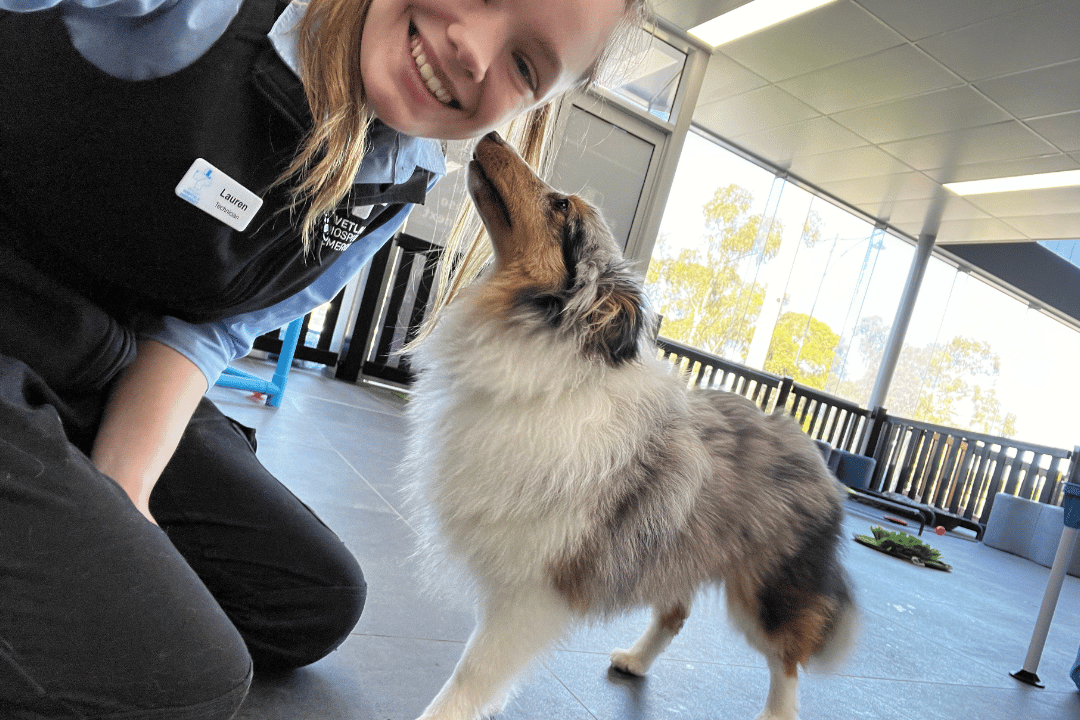 Puppy builds bravery and trust through hands-on handling and swim training in Puppy Kinder.