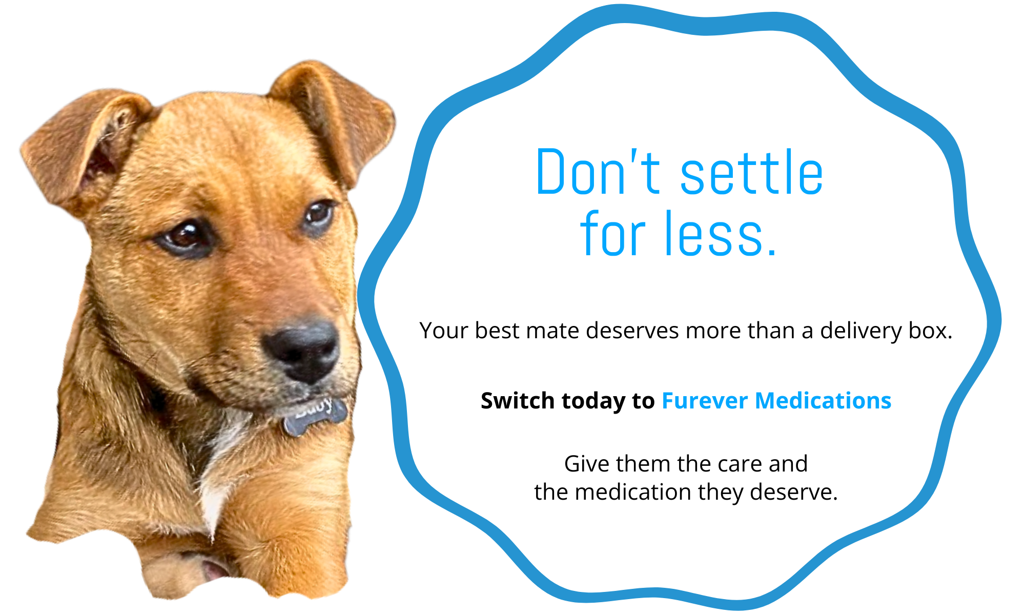Affordable pet meds without compromise. Furever Medications is designed to make lifelong treatment safe and budget-friendly.