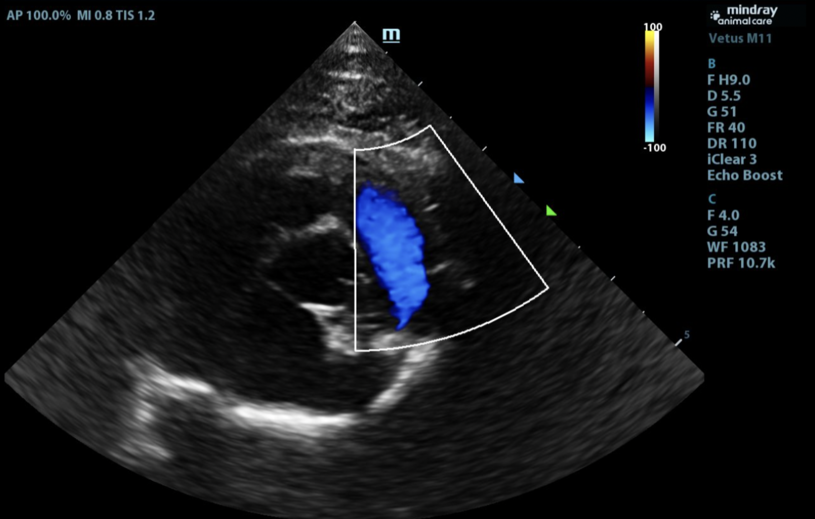 Diagnostic Imaging Vetland Hospital & Emergency - Ultrasound