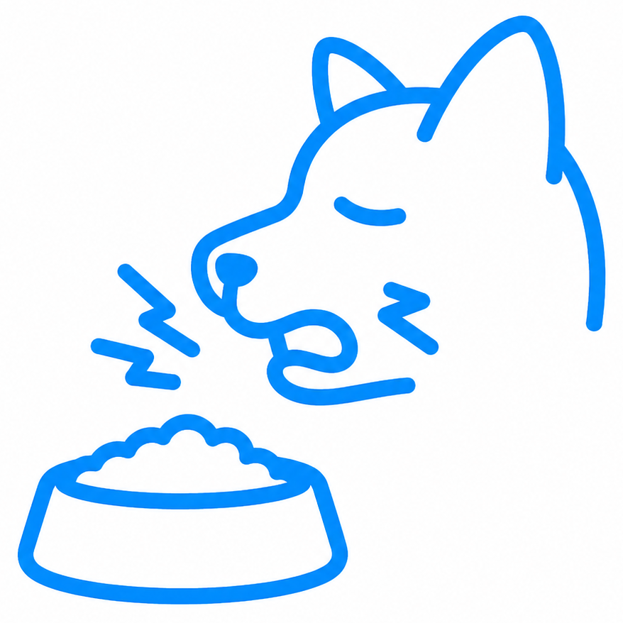 Vet dental Care Vetland - Persistent bad breath 3