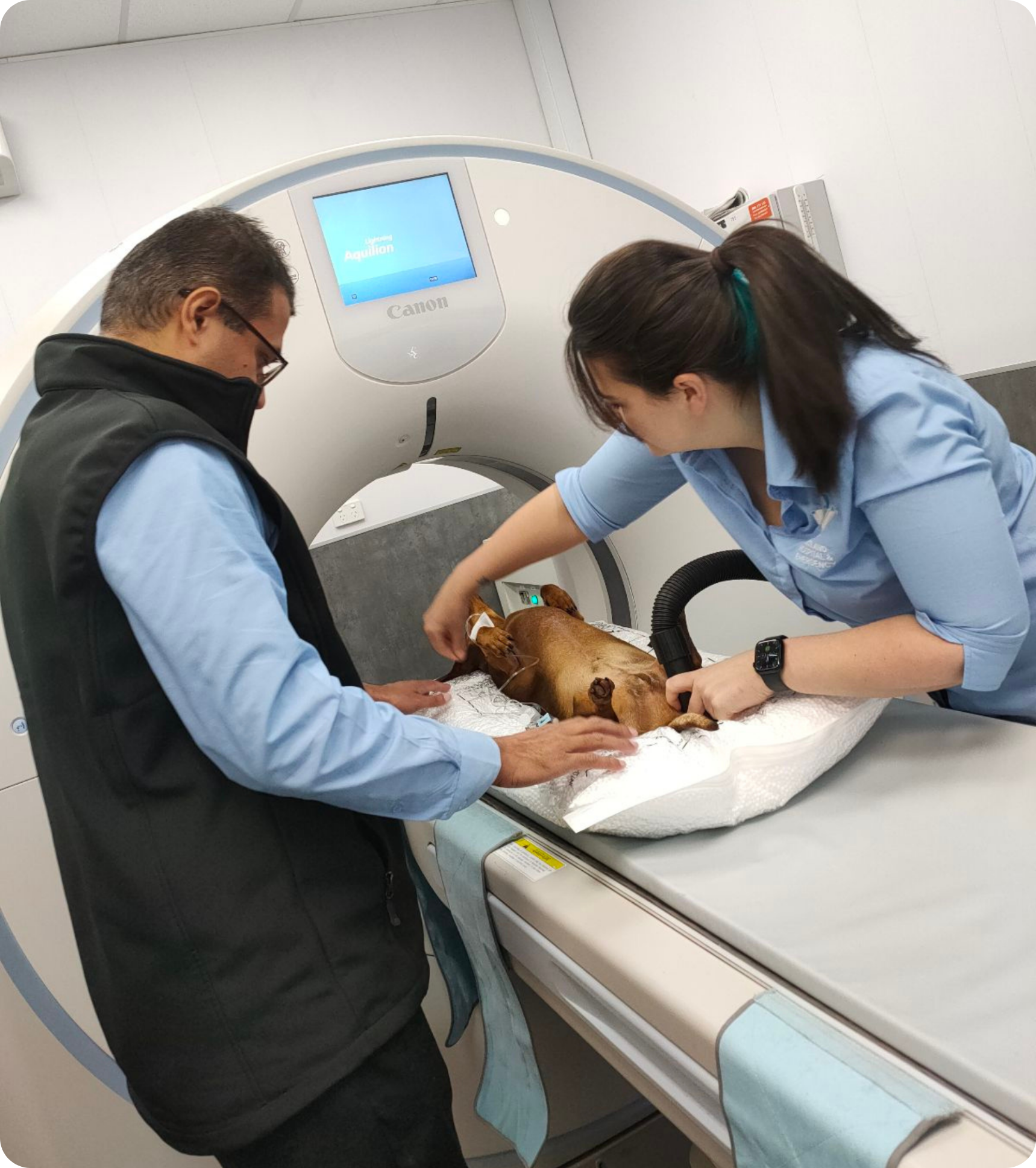Specialist veterinary radiology team reviewing detailed pet CT scan results, supporting early diagnosis, surgical precision, and better treatment outcomes for pets.