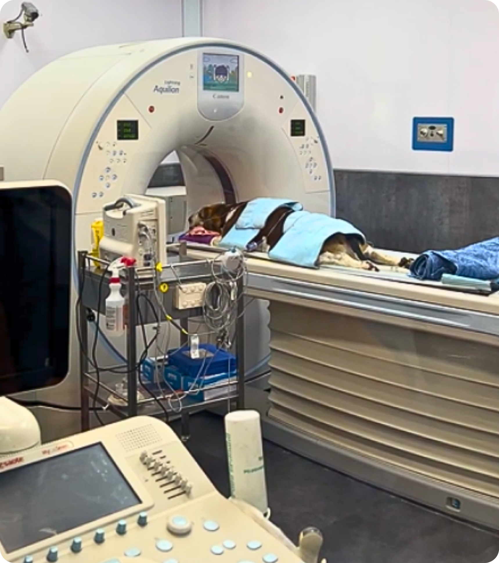 Veterinary nurse monitoring a pet during CT scan anaesthesia at VetLand Hospital & Emergency, ensuring safe advanced imaging and compassionate care for dogs and cats.