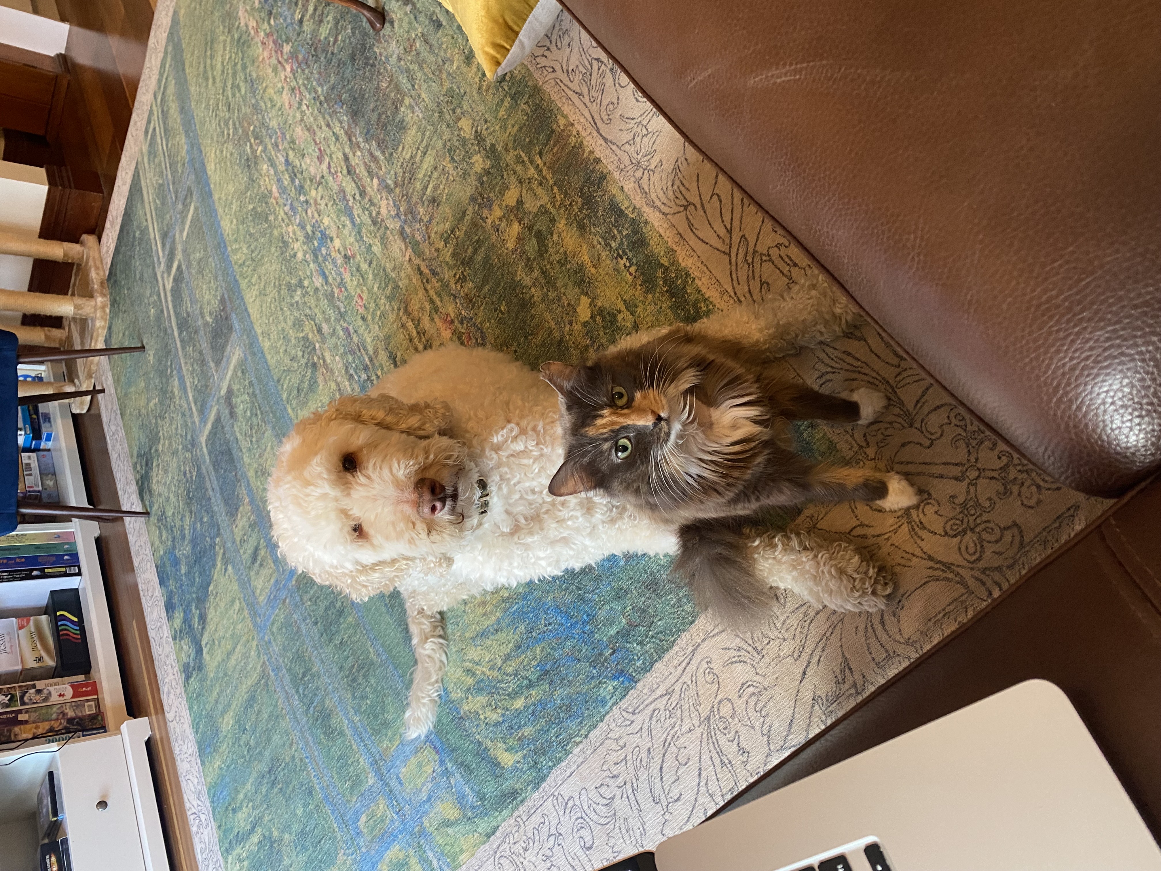 Avoid risks with online suppliers. Furever Medications at VetLand ensures your pet’s meds are authentic, safe, and affordable.